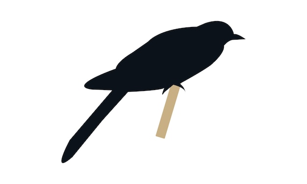 Diseño de silueta de cuco e ilustración vectorial