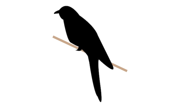 Diseño de silueta de cuco halcón común e ilustración vectorial