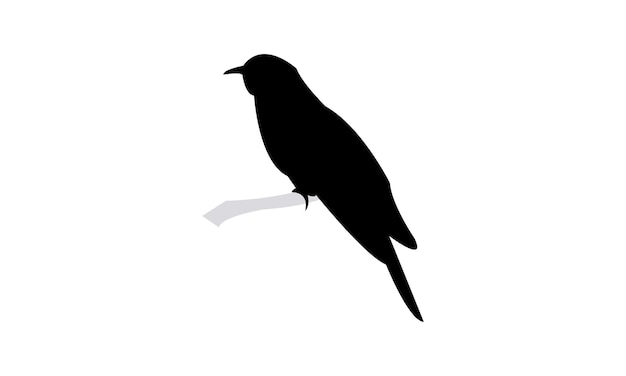 Diseño de silueta de cuco halcón común e ilustración vectorial