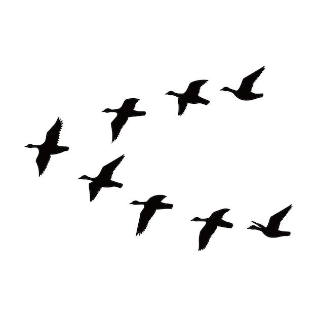 Diseño de silueta de ganso de Canadá pato salvaje volando en grupo