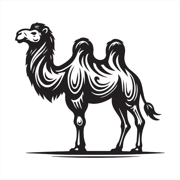 Diseño de la silueta de la ilustración vectorial del camello