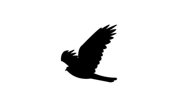 Diseño de silueta y ilustración vectorial del pájaro halcón cuco africano volador