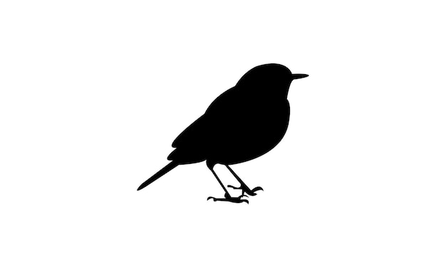 Diseño de silueta y ilustración vectorial del pájaro warbler amarillo africano