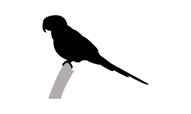 Diseño de silueta de loro e ilustración vectorial