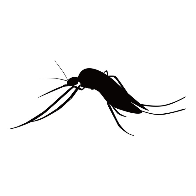 Vector diseño de silueta de mosquitos plaga animal signo y símbolo