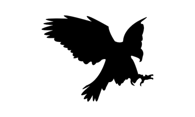 Diseño de silueta de pájaro halcón volador e ilustración vectorial