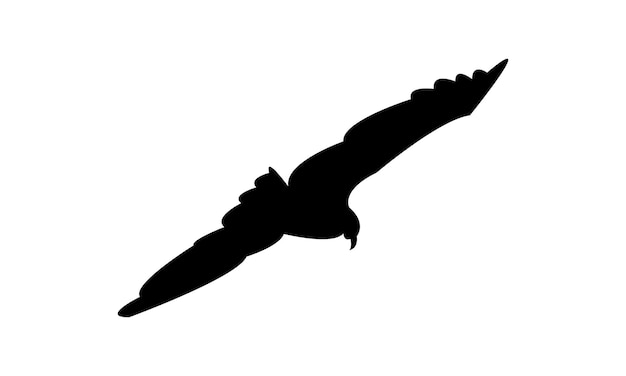 Diseño de silueta de pájaro halcón volador e ilustración vectorial