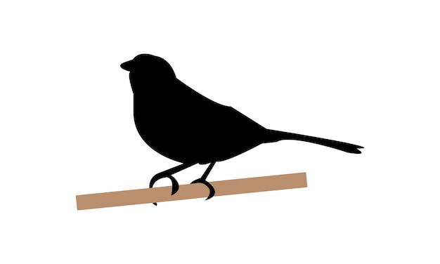Diseño de silueta de pájaro Towhee e ilustración vectorial