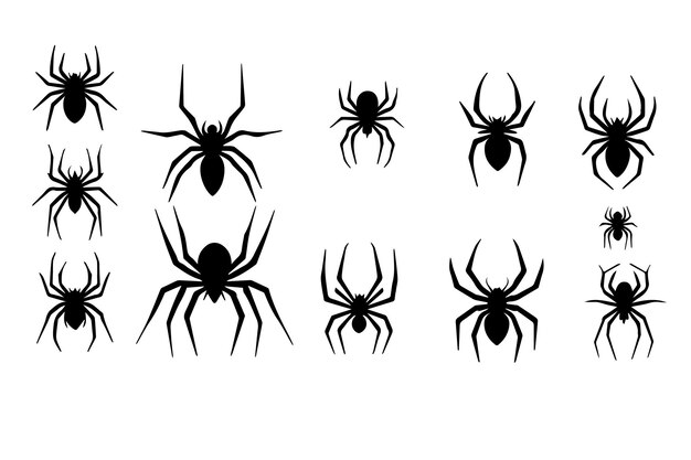 Diseño de silueta vectorial de araña impresionante obra de arte negra sobre fondo blanco