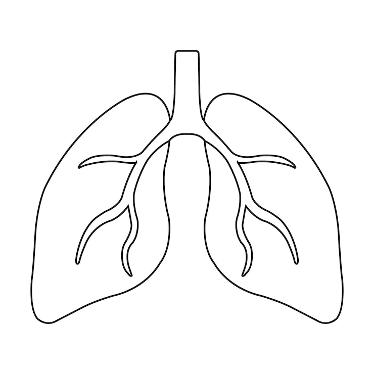 Vector diseño de símbolos de ilustración vectorial del icono del pulmón