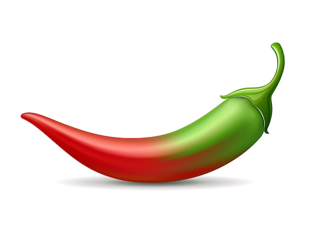 Diseño suave de color rojo degradado verde de chiles sobre fondo blanco Eps 10 ilustración vectorial
