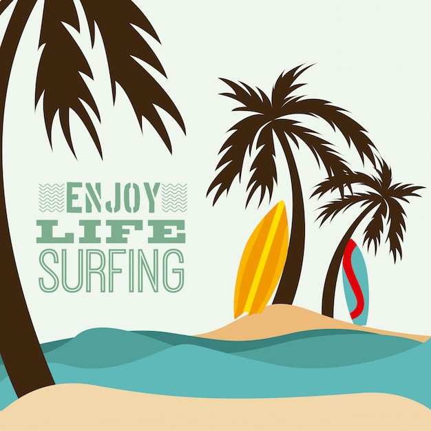 diseño de surf