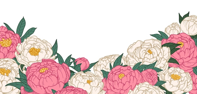 Diseño de tarjetas de flores de peonía Hermosas flores florales decoración botánica Jardín japonés florece dibujo detallado en estilo retro vintage Ilustración vectorial dibujada a mano aislada sobre fondo blanco