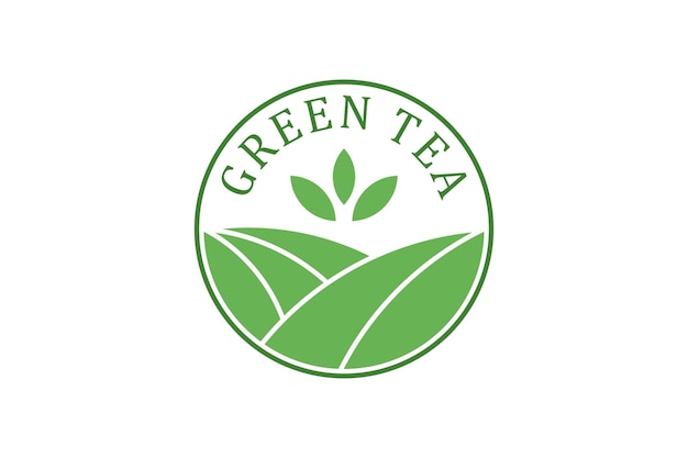 Diseño de té verde con hojas de té y concepto de tetera
