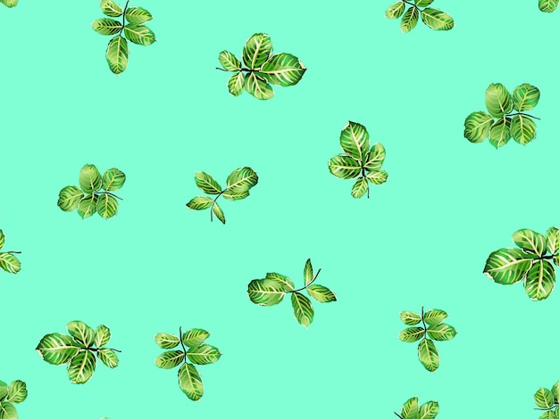 Diseño de textiles de verano. Patrón sin costuras de hojas de rosa. Papel de pared de peonía de primavera repetida. Colección de patrones de hojalata de rosa inglesa pintada. Fondo vectorial botánico romántico. Aqua Menthe y verde