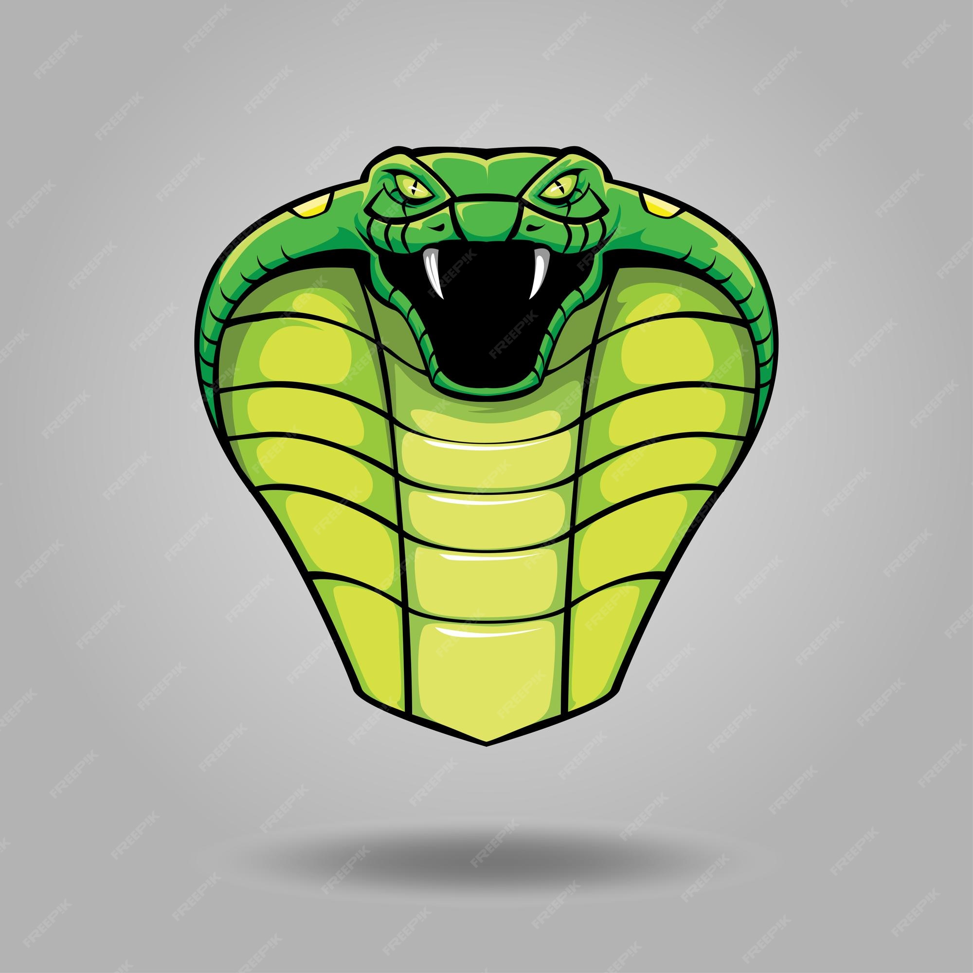Diseño de tiro en la cabeza aislado de serpiente verde de dibujos animados | Vector Premium Diseño de tiro en la cabeza aislado de serpiente verde de dibujos animados | Vector Premium