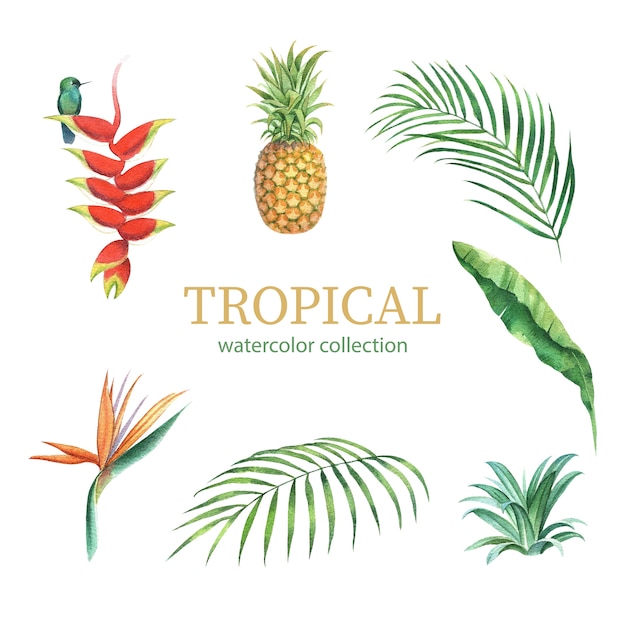 Diseño tropical con follaje y flor, ilustración vectorial.