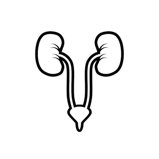 diseño de urología vector plano ilustración aislada moderna