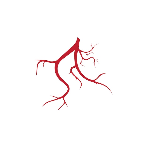 Diseño de vasos sanguíneos rojos de venas humanas y arterias Ilustración vectorial aislada