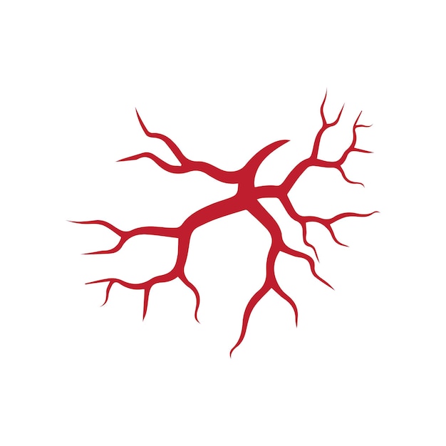 Diseño de vasos sanguíneos rojos de venas humanas y arterias Ilustración vectorial aislada