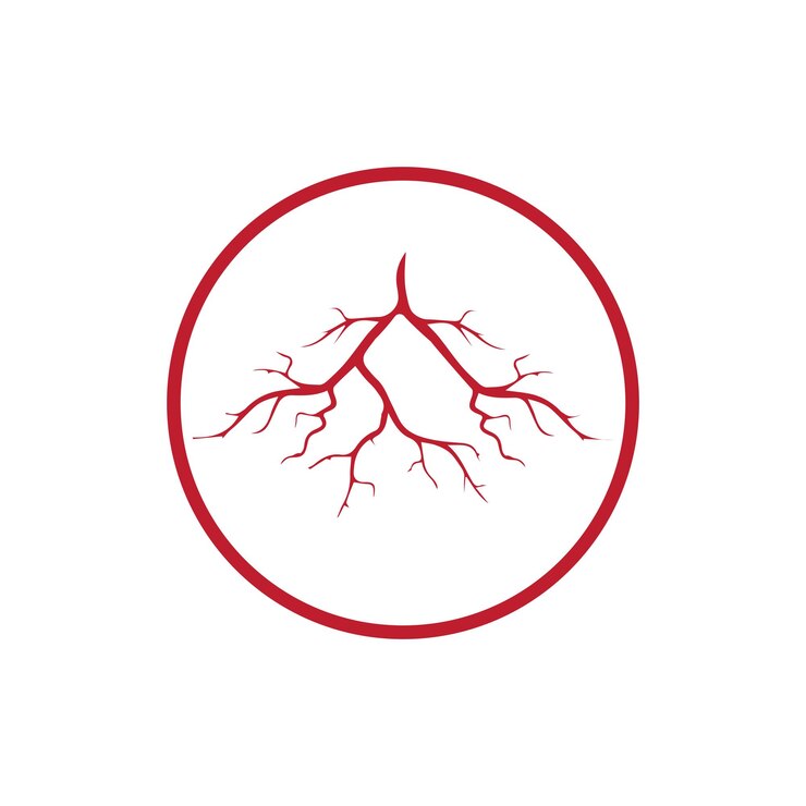 Vector diseño de vasos sanguíneos rojos de venas humanas y arterias ilustración vectorial aislada