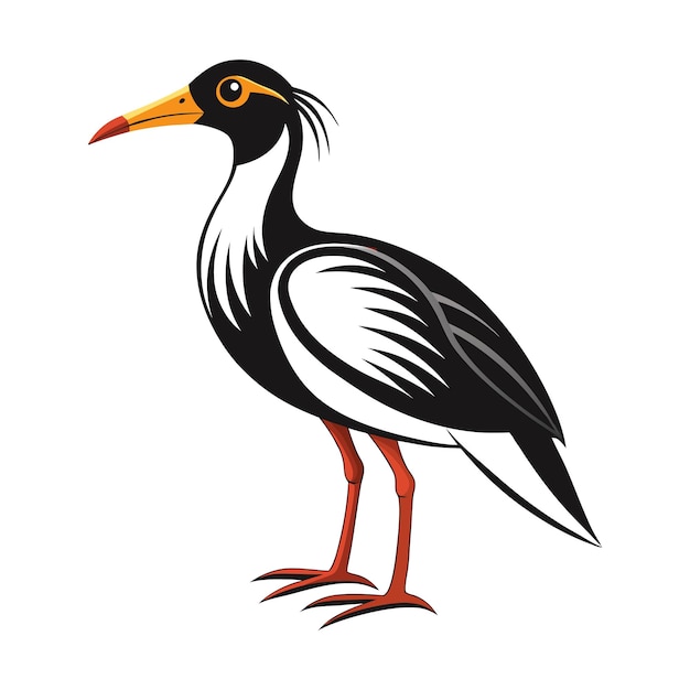 diseño del vector de aves