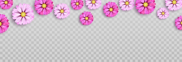 Diseño de vector de flores para vector de tarjeta de felicitación floral del día de las matemáticas en png