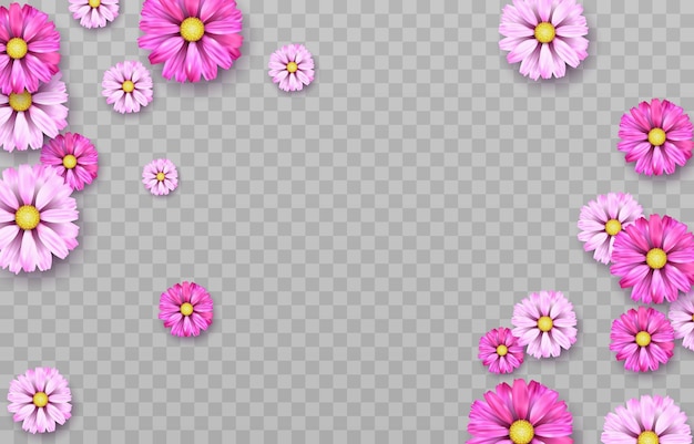 Vector diseño de vector de flores para vector de tarjeta de felicitación floral del día de las matemáticas en png