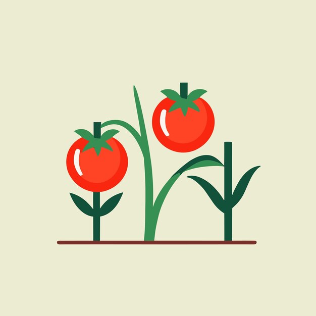 Diseño de vector de imágenes prediseñadas de dibujos animados de ilustración de tomate
