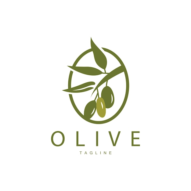 Diseño De Vector De Logotipo De Oliva Ilustración De Vector De Plantilla Premium