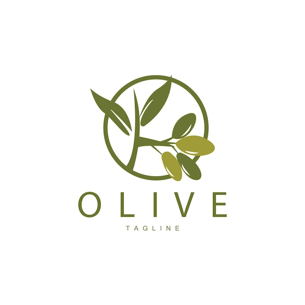 Diseño De Vector De Logotipo De Oliva Ilustración De Vector De Plantilla Premium