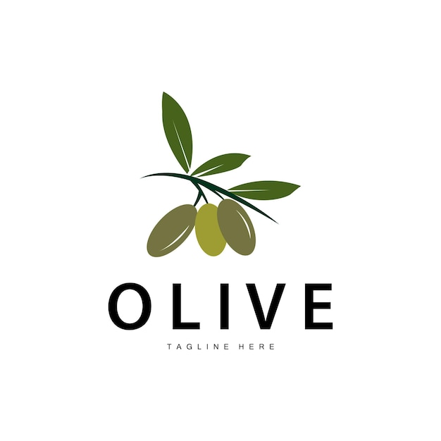 Diseño De Vector De Logotipo De Oliva Ilustración De Vector De Plantilla Premium