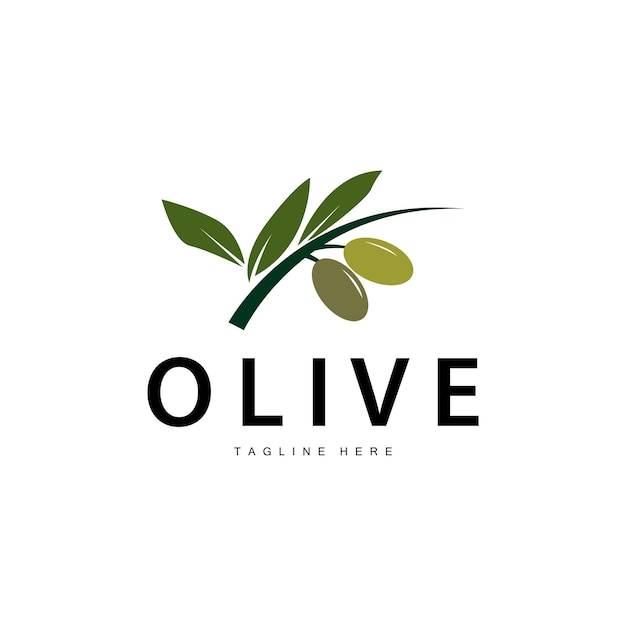 Diseño De Vector De Logotipo De Oliva Ilustración De Vector De Plantilla Premium