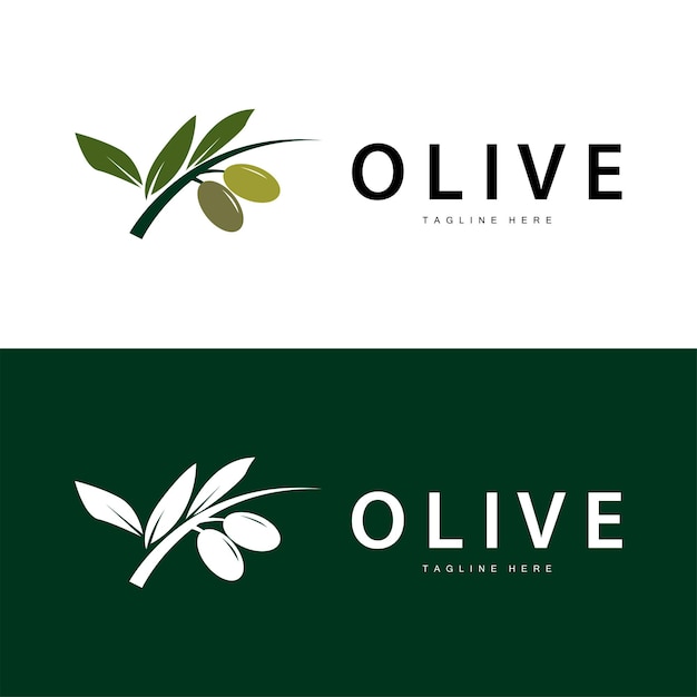 Diseño De Vector De Logotipo De Oliva Ilustración De Vector De Plantilla Premium