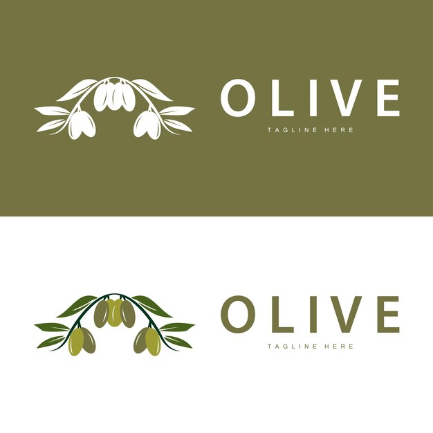 Diseño De Vector De Logotipo De Oliva Ilustración De Vector De Plantilla Premium