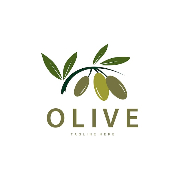 Diseño De Vector De Logotipo De Oliva Ilustración De Vector De Plantilla Premium