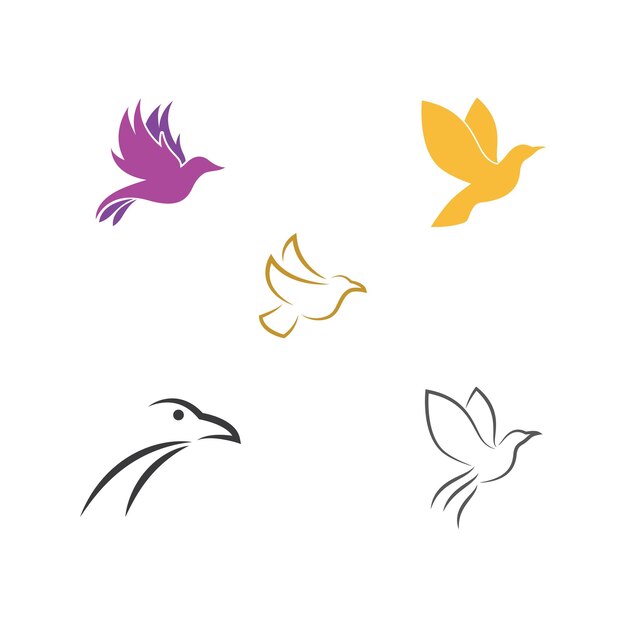 Diseño de vector de logotipo de pájaro de paloma