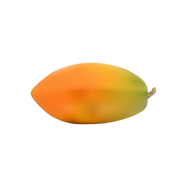 Diseño de vector de papaya madura realista