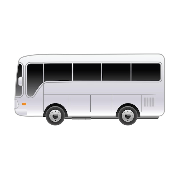 Diseño del vector de transporte