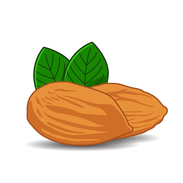 Diseño de vectores de alimentos saludables de nueces de almendras