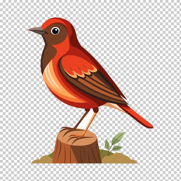 Diseño de vectores de aves