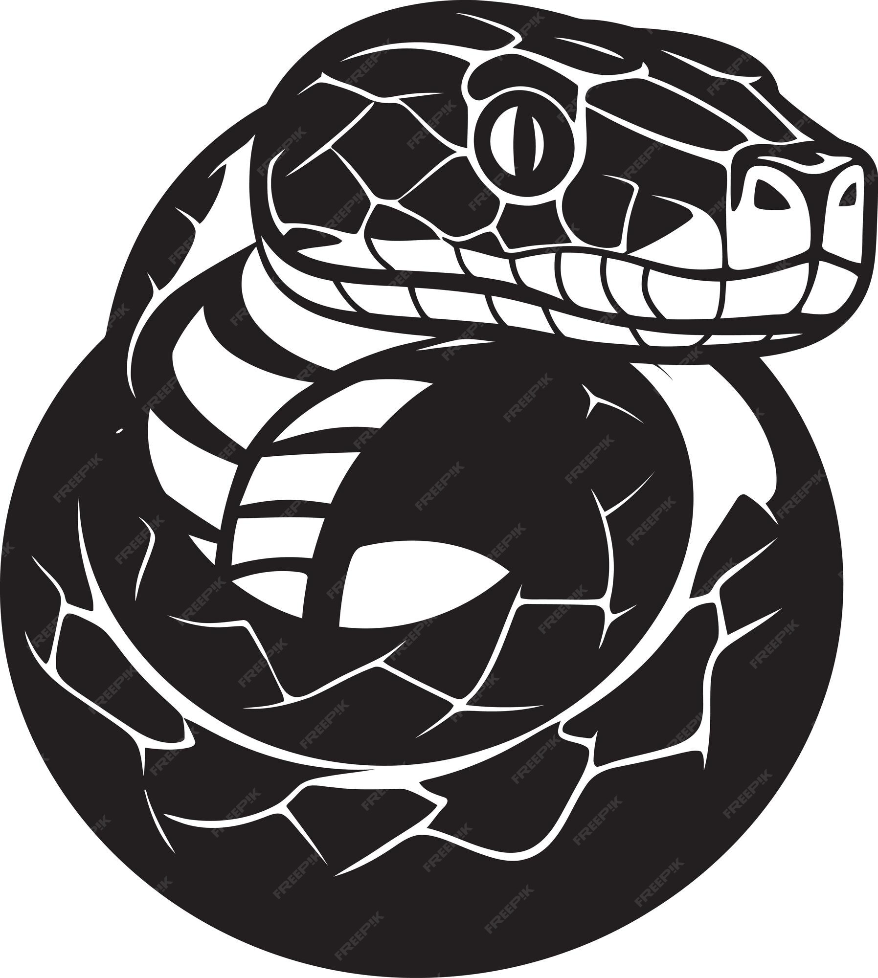 Diseño de vectores con python un taller creativo la evolución del arte ...