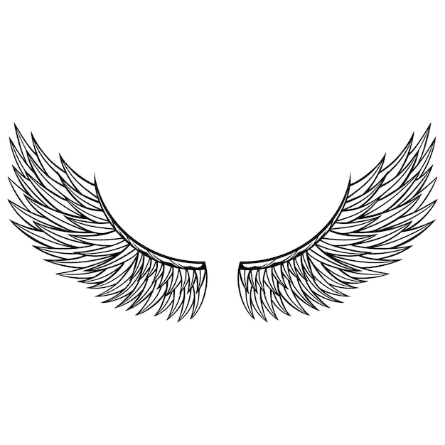 Diseño vectorial de las alas del águila