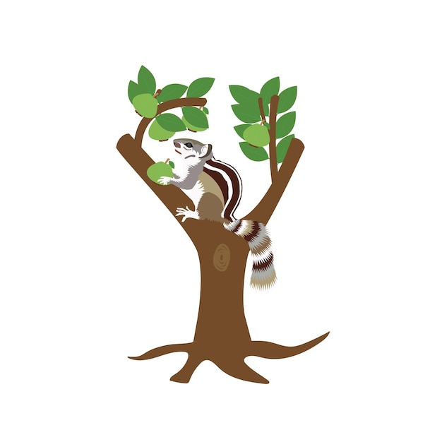 Diseño vectorial de ardilla sobre fondo blanco