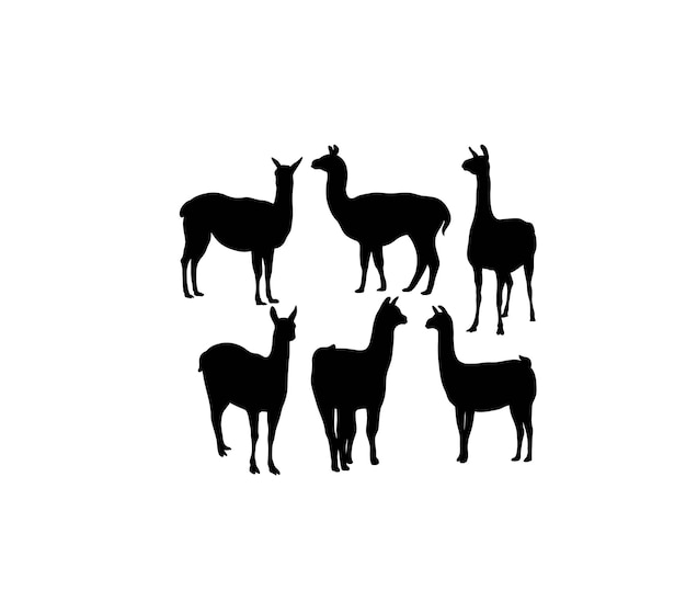 Diseño vectorial de arte de siluetas de Lama