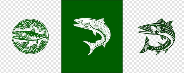 Diseño vectorial de barracuda