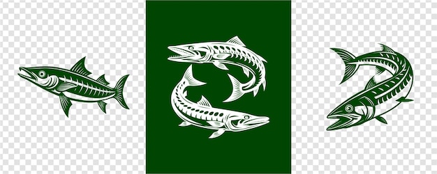 Diseño vectorial de barracuda