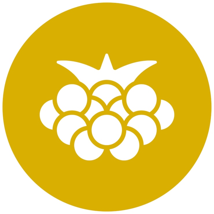 Vector diseño vectorial boysenberry estilo de icono