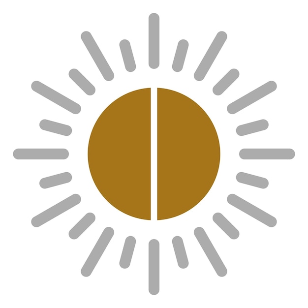 Diseño vectorial Brillo de la cámara Estilo del icono