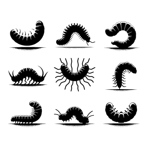 Diseño vectorial una colección de 9 siluetas de gusanos